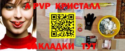 шишки Кингисепп