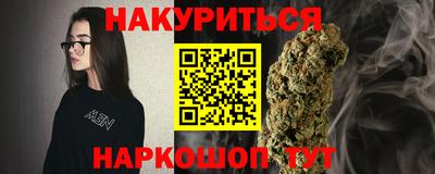 шишки Кингисепп