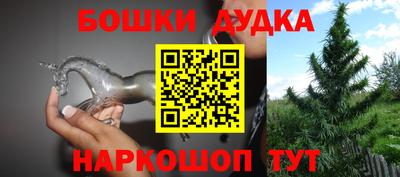 шишки Кингисепп