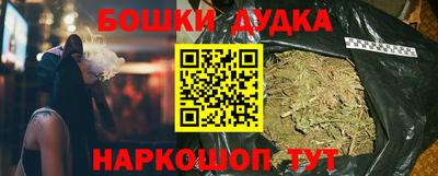 шишки Кингисепп