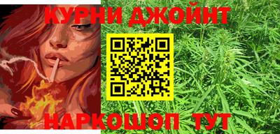 шишки Кингисепп