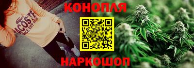 шишки Кингисепп