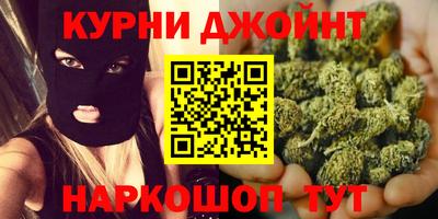 шишки Кингисепп