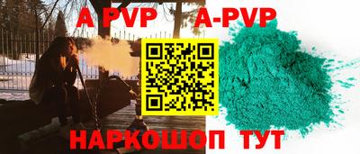 шишки Кингисепп