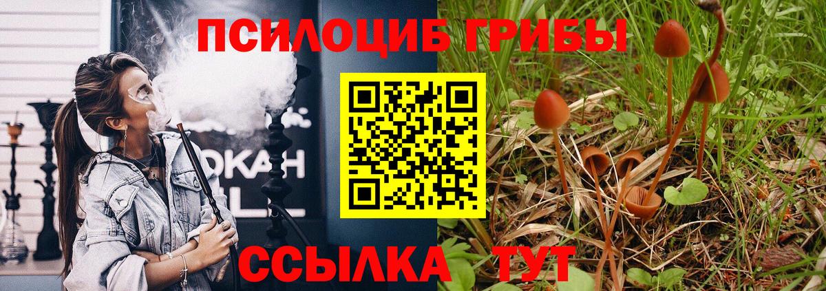 Коломна  как найти   Псилоцибиновые грибы мухоморы  Вход с VPN  Псилоцибиновые грибы Cubensis 